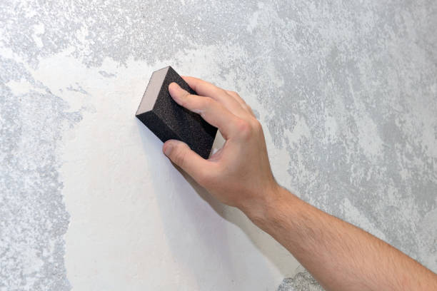 Best Environmental Consulting for Mold Prevention  in Rolling Meadows, IL