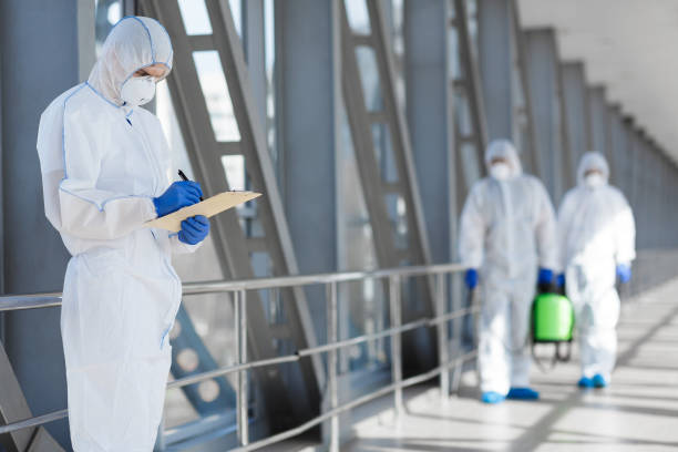 Best Mold Prevention Services  in Rolling Meadows, IL