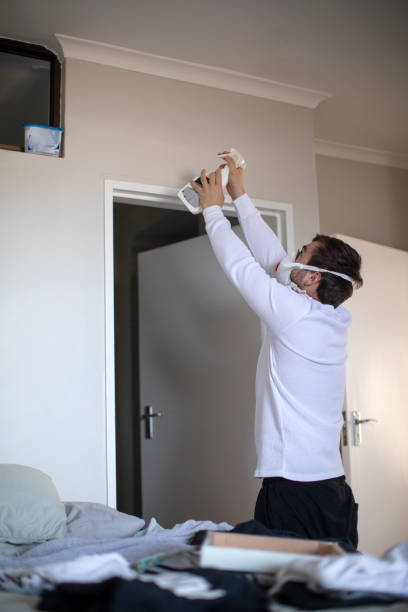 Best Mold Damage Restoration  in Rolling Meadows, IL