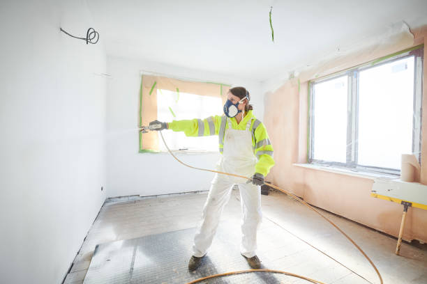 Best Black Mold Removal  in Rolling Meadows, IL