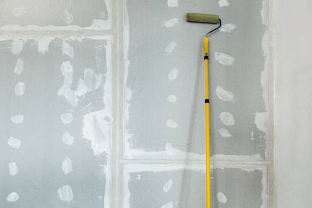 Biohazard Mold Removal in Rolling Meadows, IL