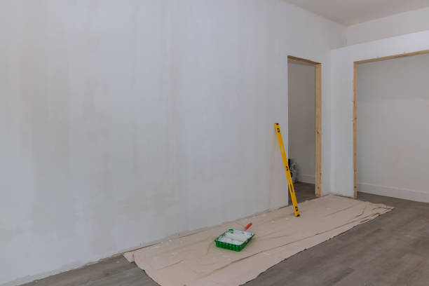 Best Attic Mold Removal  in Rolling Meadows, IL