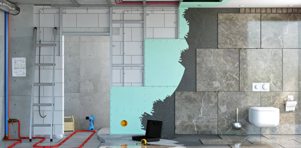 Trusted Rolling Meadows, IL Mold Removal Experts
