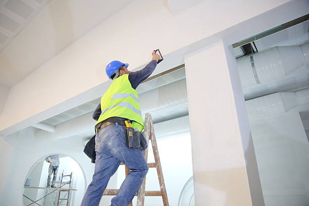 Best Real Estate Mold Inspection  in Rolling Meadows, IL