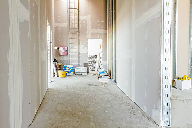 Best Dehumidification Services  in Rolling Meadows, IL